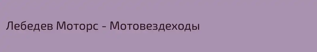 Лебедев Моторс - Мотовездеходы